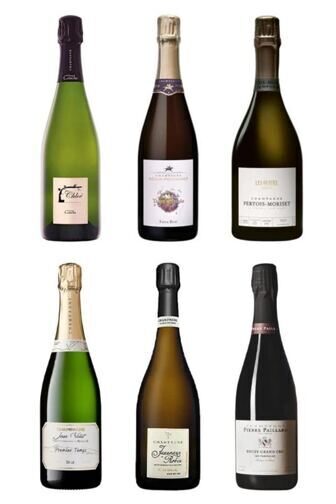 Degustations-Box Champagner