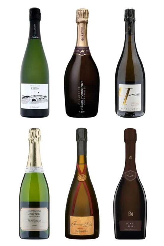 Degustations-Box Champagner